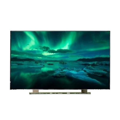 Koleksi Produk Panel TV AUO 55 Inci OPEN CELL